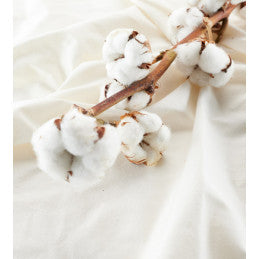 Protector Organic Cotton